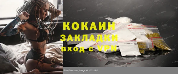 шишки Аркадак