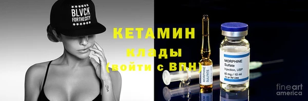 шишки Аркадак