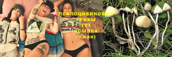 spice Арсеньев