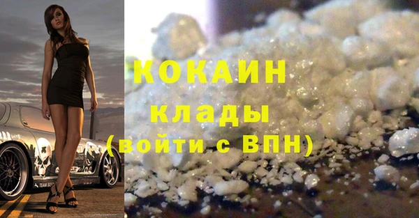 шишки Аркадак